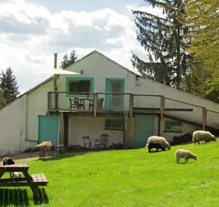 Harry's Place * Marche-en-Famenne